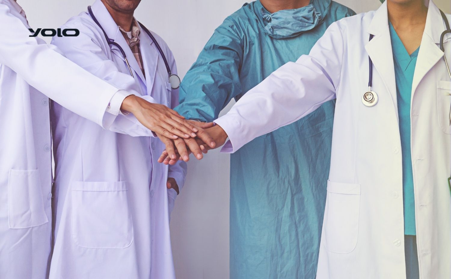 Doctors and Nurses Management Software Doctors and Nurses Management Software